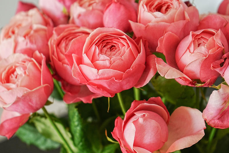 Що подарувати мамі: універсальні набори з косметикою