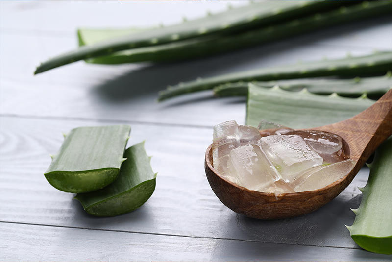 Алое вера: лікувальні властивості і використання у натуральній косметиці